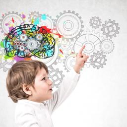 Optimalisasi Perkembangan Otak Anak Sejak Dini