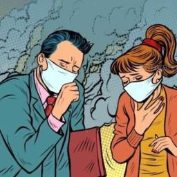Asap Kebakaran Hutan Ganggu Kualitas Udara, Ini Cara Melindungi Kesehatan Tubuh