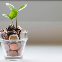 Hidup Sederhana, Dampak Luar Biasa: Frugal Living Untuk Dompet dan Lingkungan