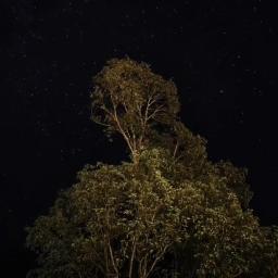 Asa Kala Malam
