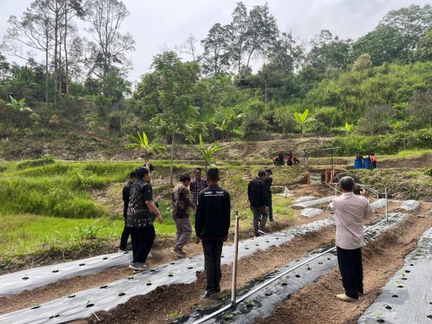 UKRO UNP Terapkan Teknologi Smart Farming di Nagari Labuh
